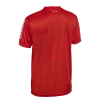 Футболка SELECT Pisa player shirt s/s Red